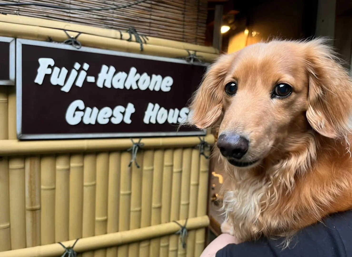 Fuji-Hakone Guest House 2*, Hakone