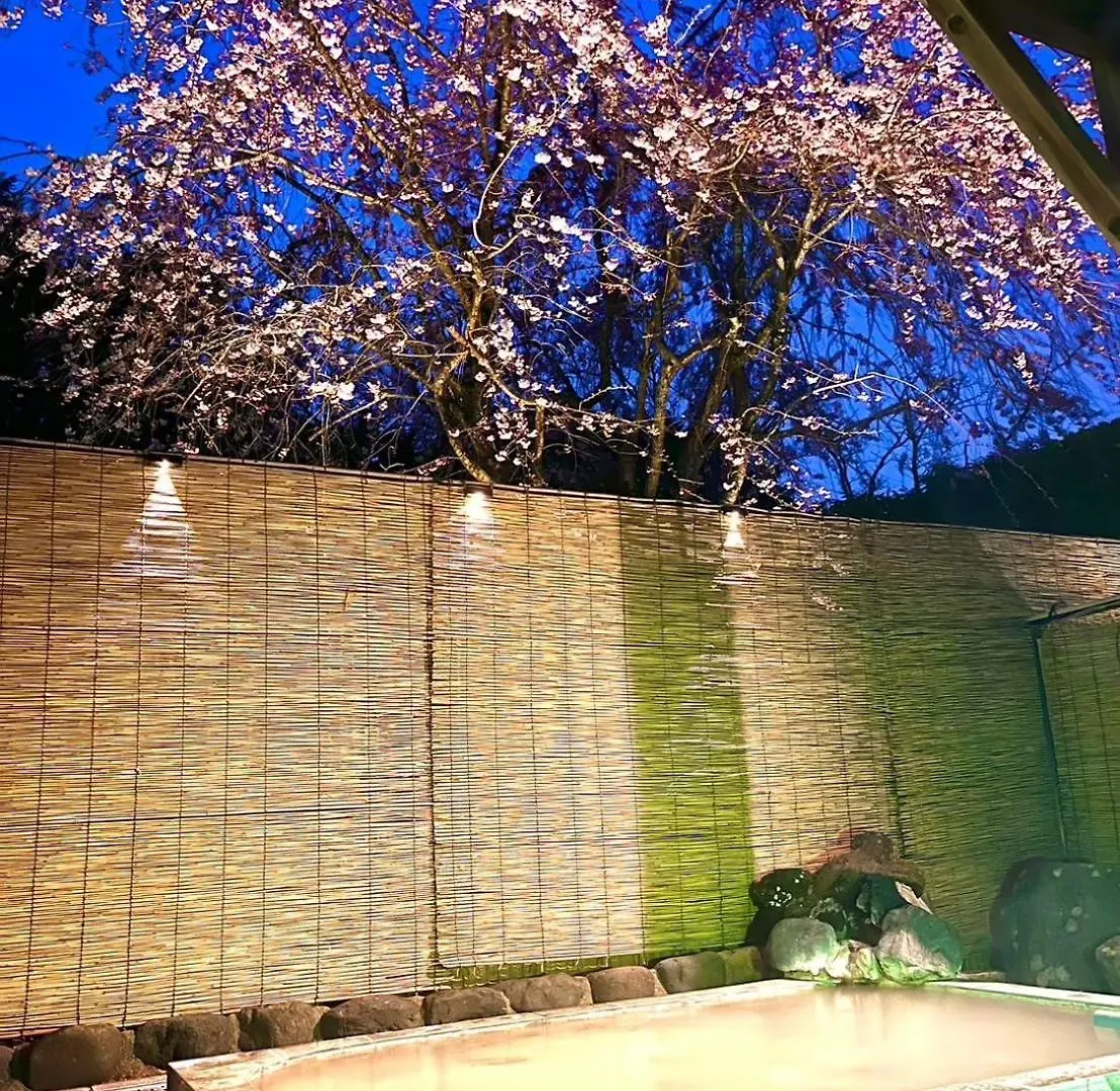 Fuji-Hakone Guest House Hakone